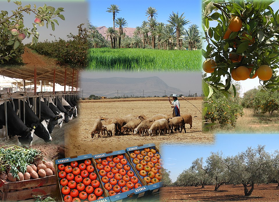 960px-Productions_du_Maroc (1)