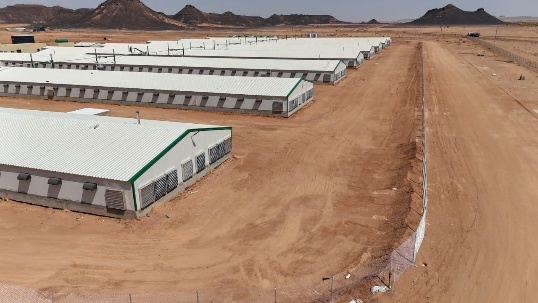 Grand Parent & Parent Stock Breeder Complex