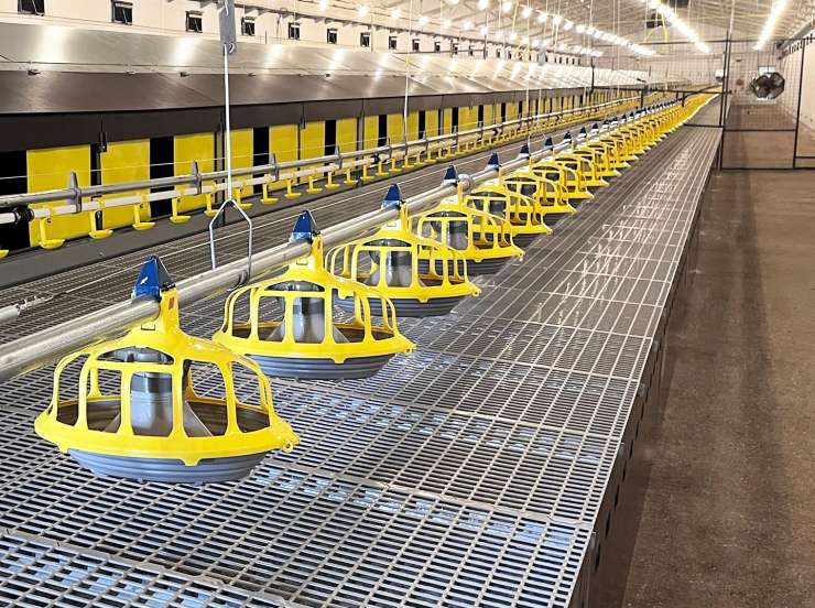 Optimal egg production in Serbia with Roxell’s total solution for commercial layers