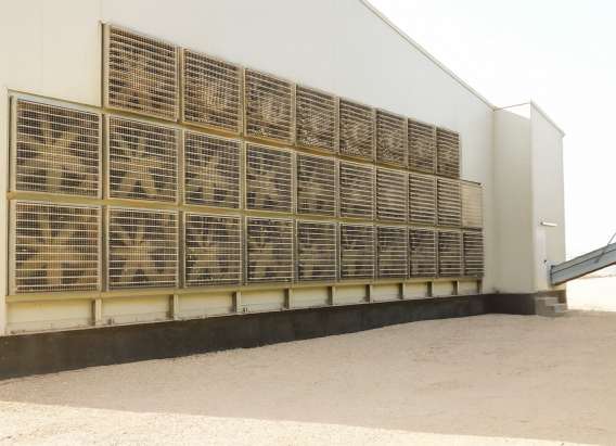 WhatsApp Image 2025-12-27 at 8.36.25e AM