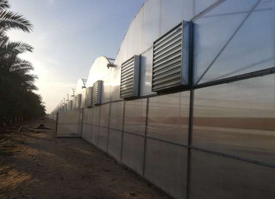 WhatsApp Image u2025-12-27 at 8.36.26 AM