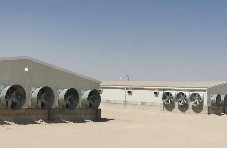 High-Efficiency Broiler Complex – Ar Ramtha – Jordan