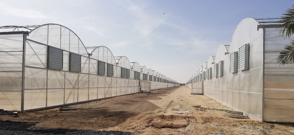 Case Study: Sustainable Year-Round Production – Abu Dhabi, UAE